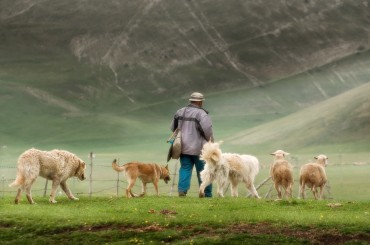 Pastorale de Noël Akadêmia