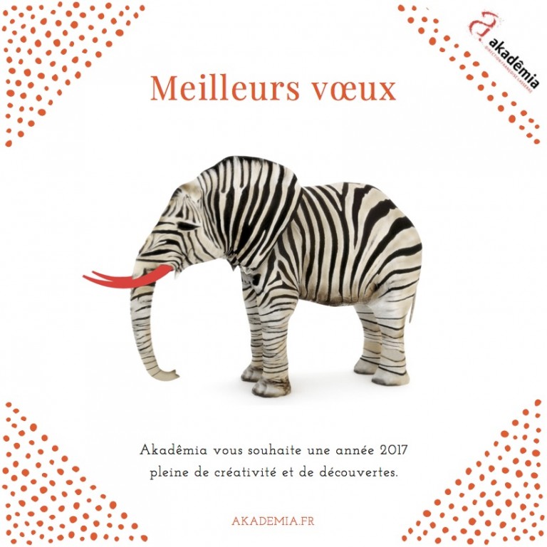 voeux-2017